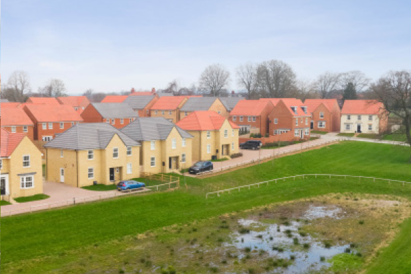 detached homes with green space and drainage